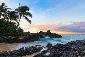 2-Secret-Cove-1024x683