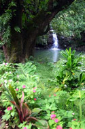 Hana Maui waterfall wedding