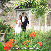 maui wedding site